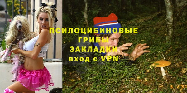 ешки Алзамай