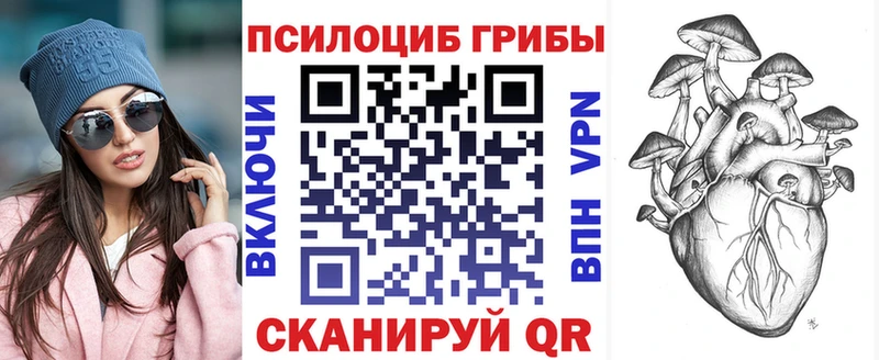 где купить Искитим Псилоцибиновые грибы MAGIC MUSHROOMS